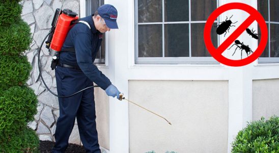 Ağlı Fare İlaçlama böcek ilaçlama ve haşere kontrolü — ilaclama-tr.com